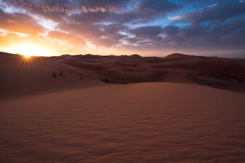 robin favier photographies morocco photography photographe paysage nature landscape paysagiste sauvage voyage travel maroc merzouga sunrise desert désert dune sable sand sahara sony alpha m