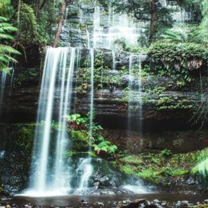 Russel Falls Mount Field National tas Park Tasmania tasmanie australia australie waterfall cascade nature foret sauvage eau pureté water green pose longue