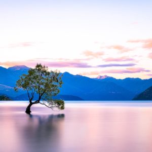 robin favier photographies photography photographe paysage nature landscape paysagiste sauvage voyage travel wanaka otago nz new zealand nouvelle zelande pvt whv visa backpacker sunset lake long exposure reflet tree lake