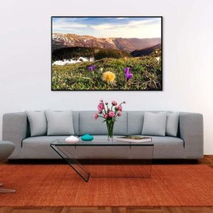 tirage impression print grand format photographie photographe paysage nature décoration art jura fleurs pays de gex ain france montagne