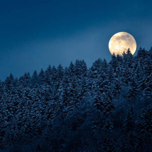 lelex montsjura montagne station ski hiver neige pays de gex ain jura pleine lune full moon foret sapin photographie paysage