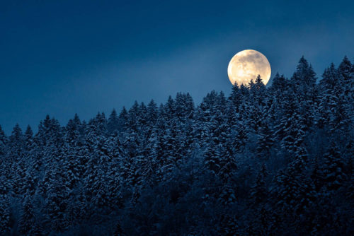 lelex montsjura montagne station ski hiver neige pays de gex ain jura pleine lune full moon foret sapin photographie paysage