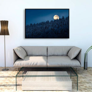 print tirage art decoration salon limité photographie pleine lune full moon foret nuit sapin